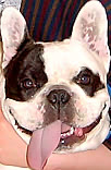 ǁ[